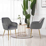 Set of 2 Velvet Dinning Chairs with Gold Plating Legs-le-home-chic.myshopify.com-CHAIRS