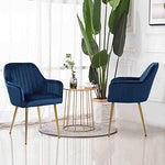Set of 2 Velvet Dinning Chairs with Gold Plating Legs-le-home-chic.myshopify.com-CHAIRS