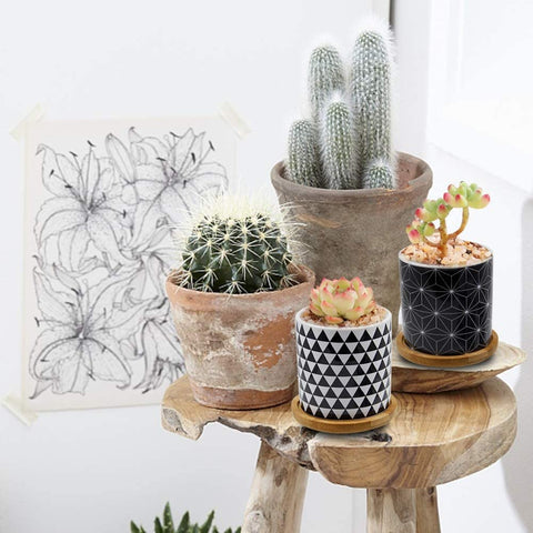 Geometric Succulent Pot, 3" Cylinder r with Drainage Hole-le-home-chic.myshopify.com-FLOWERS