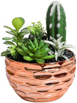 7.4 Inches Tabletop Assorted Artificial Succulent/Cactus-le-home-chic.myshopify.com-FLOWERS