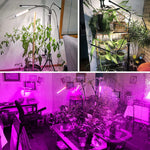 Grow Lights for Indoor Plants, LED Grow Lights-le-home-chic.myshopify.com-FLOWER LIGHT