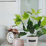 13.4 inches Artificial Potted Greenery Green-le-home-chic.myshopify.com-FLOWERS