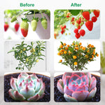Grow Lights for Indoor Plants, LED Grow Lights-le-home-chic.myshopify.com-FLOWER LIGHT