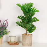 17 inches Artificial Potted Greenery Green Leaf Plants-le-home-chic.myshopify.com-FLOWERS