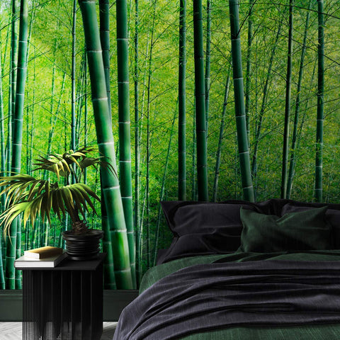 Nature Wallpaper Forest Wall Mural Green Forest-le-home-chic.myshopify.com-WALLPAPER