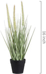 Set of 2, Dogtail Artificial Plants-le-home-chic.myshopify.com-FLOWERS