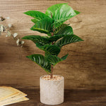 17 inches Artificial Potted Greenery Green Leaf Plants-le-home-chic.myshopify.com-FLOWERS